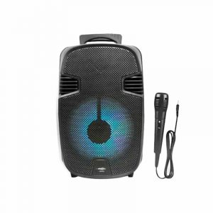Parlante Bluethooth Portatil 8 Pulgadas GTS-1248