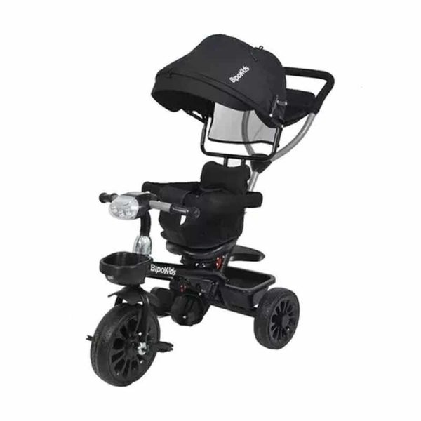 Triciclo Bipo ART TR9077