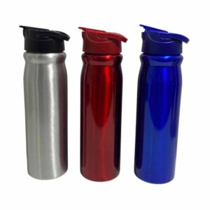 Botella Acero Inoxidable 600ml ART BA-01