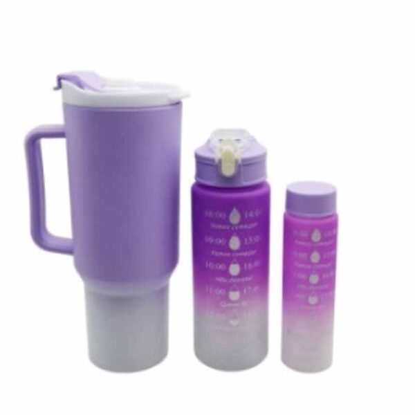 Set Vaso con Dos Botellas ART D077 - Imagen 4
