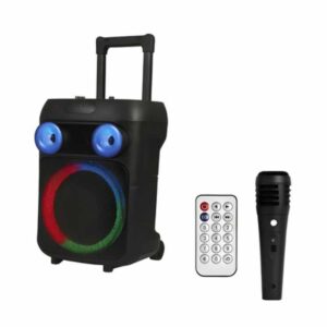 Parlante Portátil Recargable Karaoke Bluetooth Hytoshy 12" ART HY-A1211