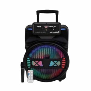 Parlante Portatil Bluetooth Hytoshy 15" ART HY-1538