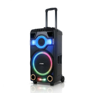 Parlante 15" Hytoshy ART HY-W1501