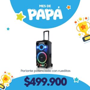 Parlante Potenciado Portatil